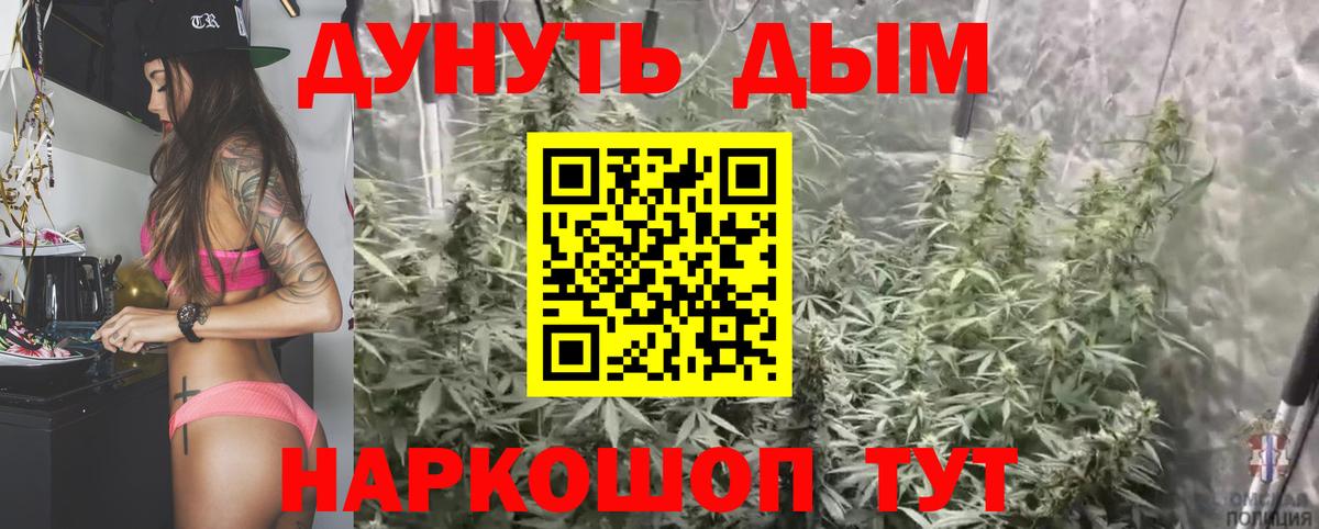 Шишки марихуана планчик Якутск